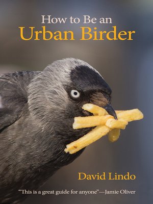 cover image of How to Be an Urban Birder